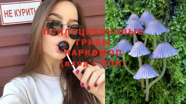 спиды Алексин